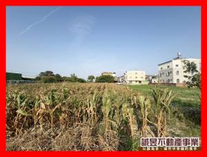 誠昱/新吉庄內旁農地