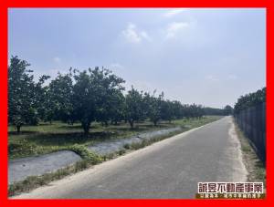 誠昱/麻豆區旁開心農場.