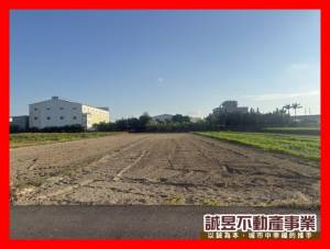 誠昱/新化特農平坦休閒.