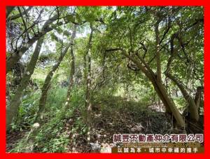 誠昱/近86快速道路都內.