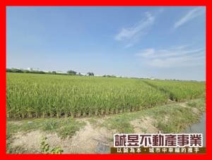 誠昱/官田市地重劃金建地
